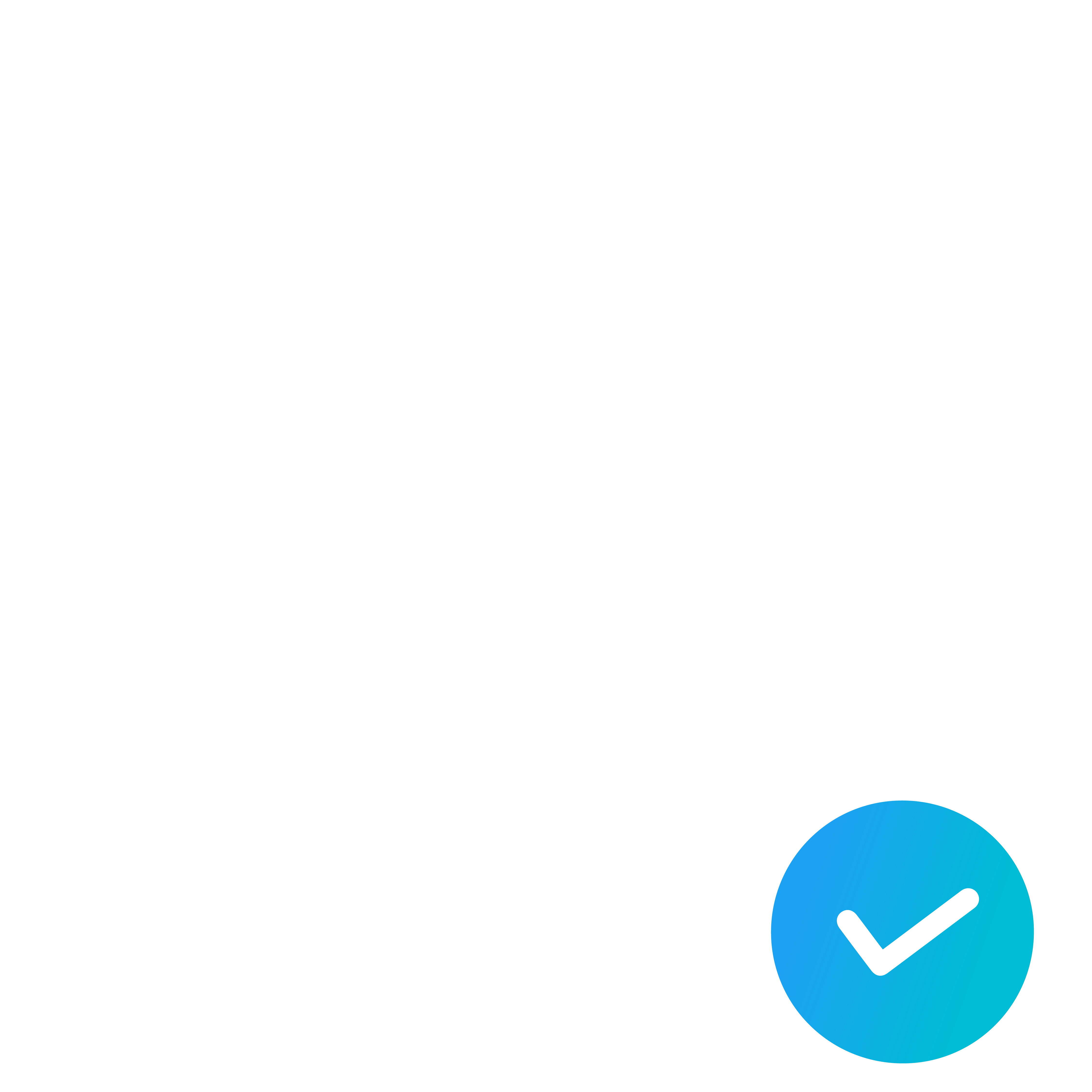 Automated toll invoicing to the customer